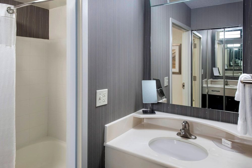 Suite, 1 King Bed with Sofa bed, Non Smoking