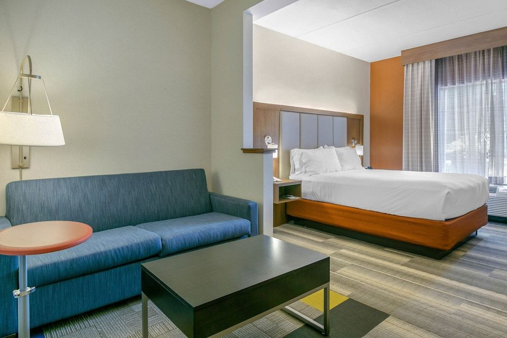 Suite, 1 King Bed with Sofa bed