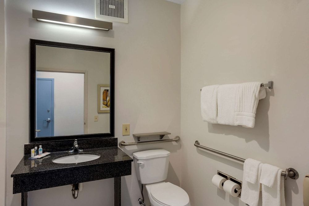 Room, 1 King Bed, Accessible, Non Smoking (Roll-In Shower)