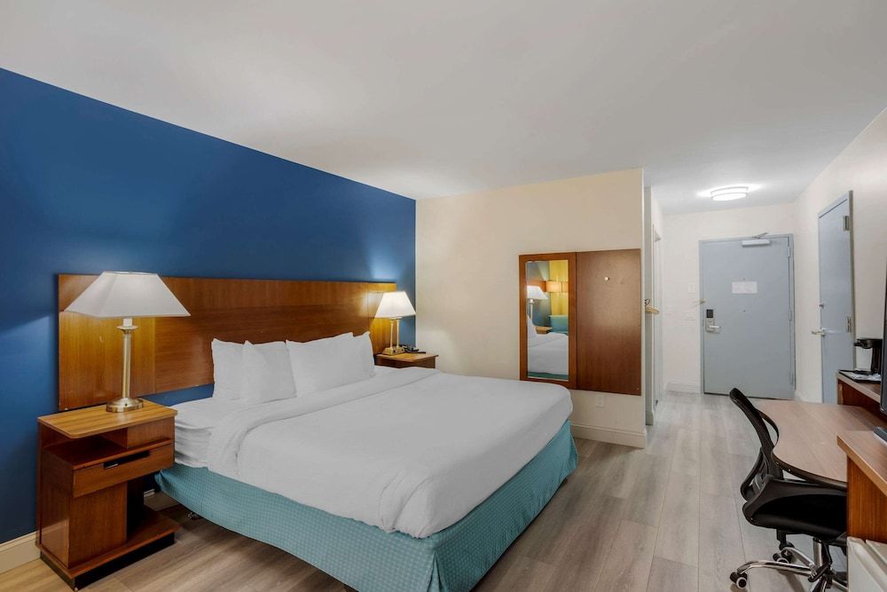 Standard Room, 1 King Bed with Sofa bed, Non Smoking
