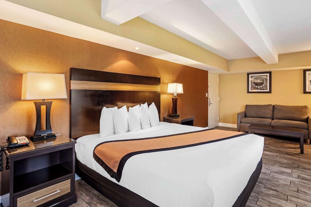 Standard Room, 1 King Bed, Non Smoking, Jetted Tub