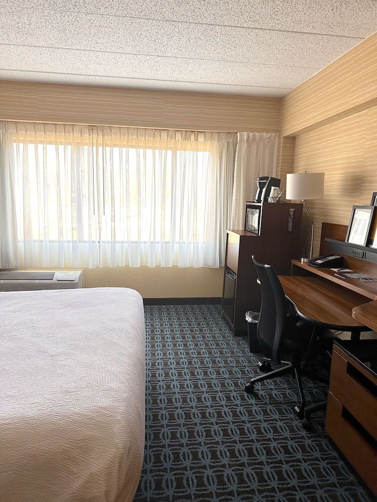 Suite, 1 King Bed with Sofa bed