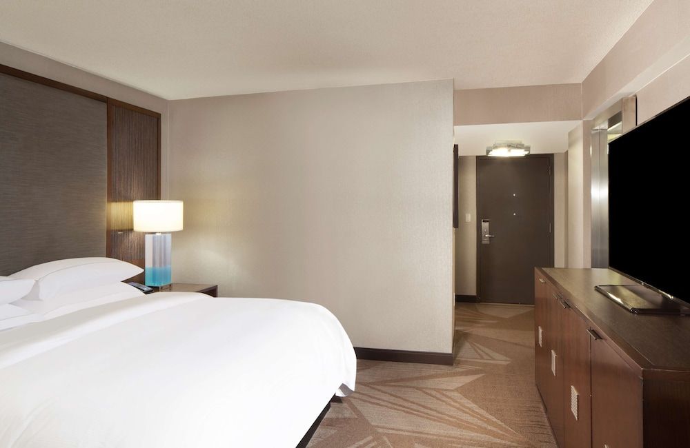 Room, 1 King Bed, Accessible, Bathtub (Mobility & Hearing)