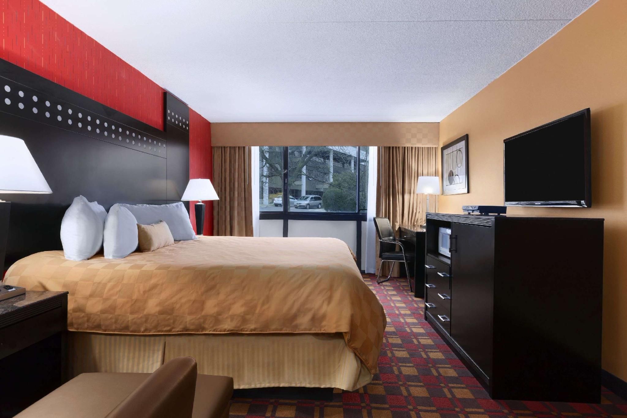 1 King Bed Non-Smoking