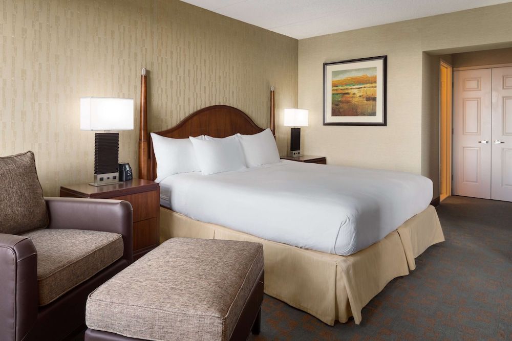 Suite, 1 King Bed
