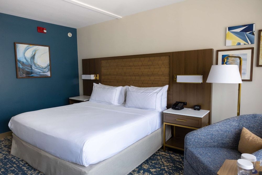 Room, 1 King Bed, Accessible, Non Smoking