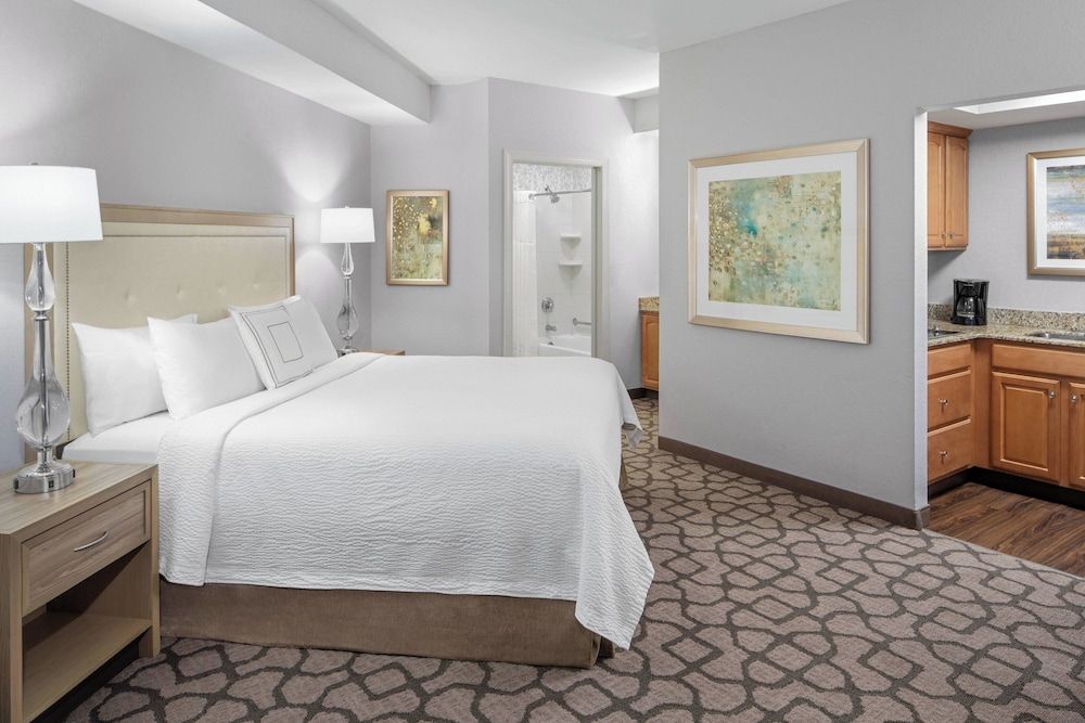 Studio, 1 King Bed with Sofa bed (Mobility Accessible, Roll-In Shower)