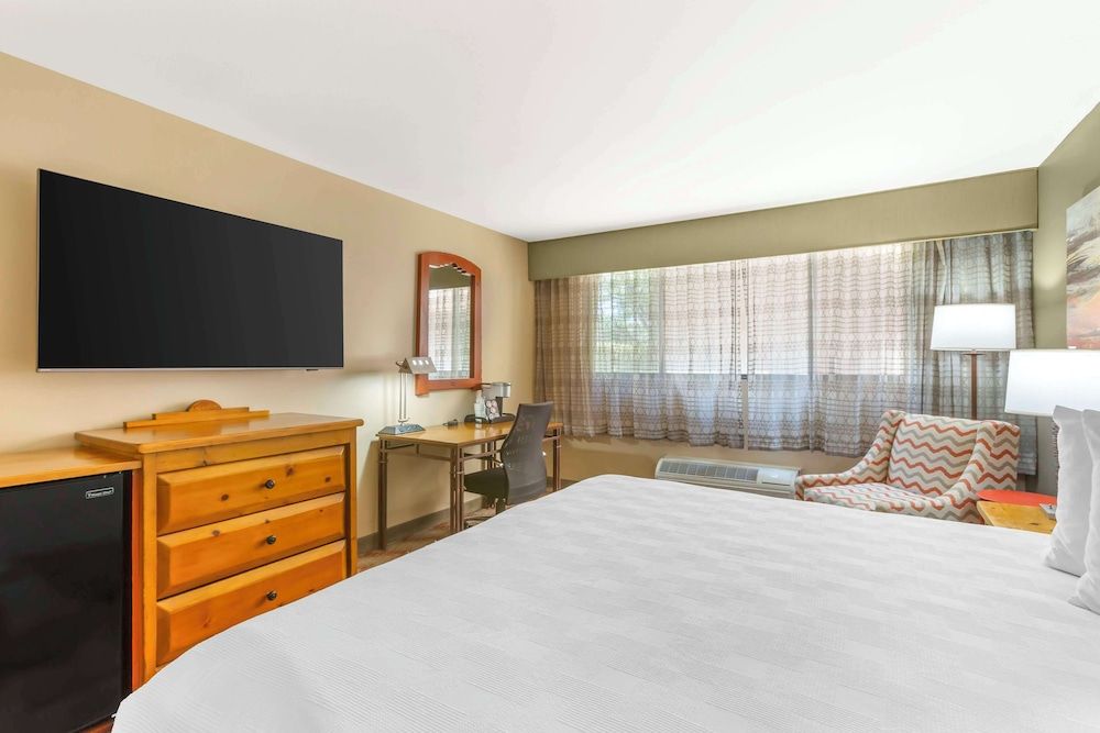 Standard Room, 1 King Bed, Non Smoking (Shower Only)