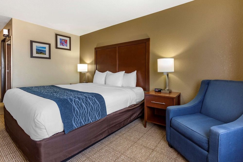 Standard Room, 1 King Bed, Non Smoking