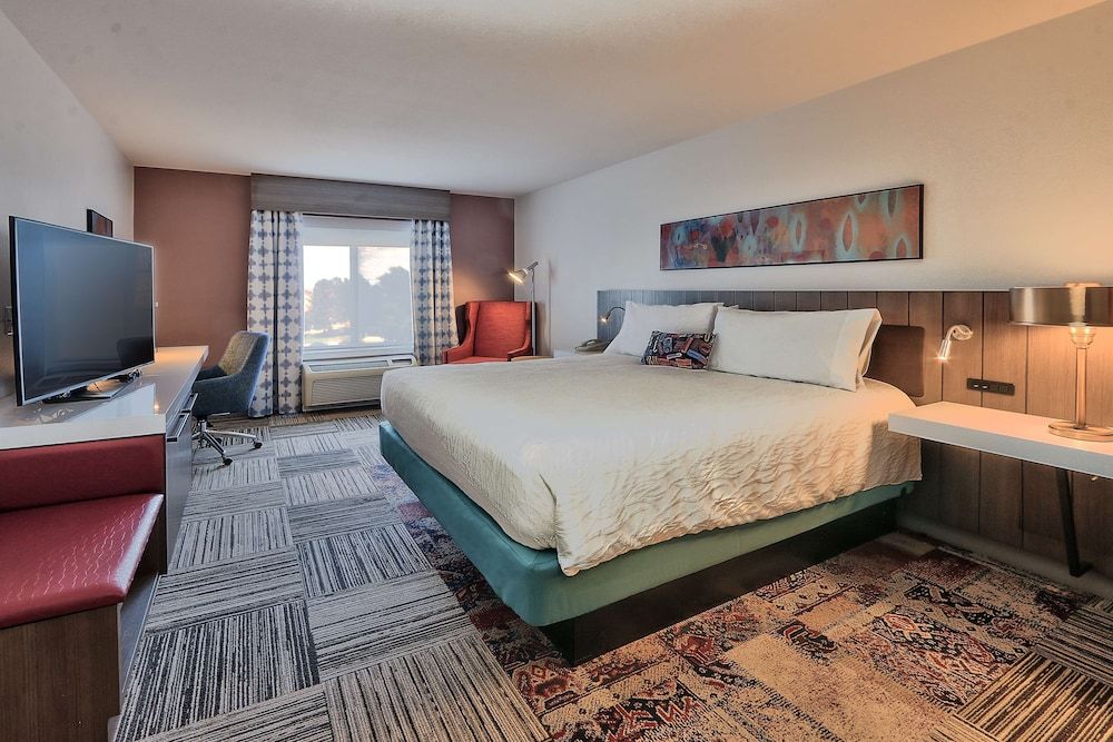 Room, 1 King Bed