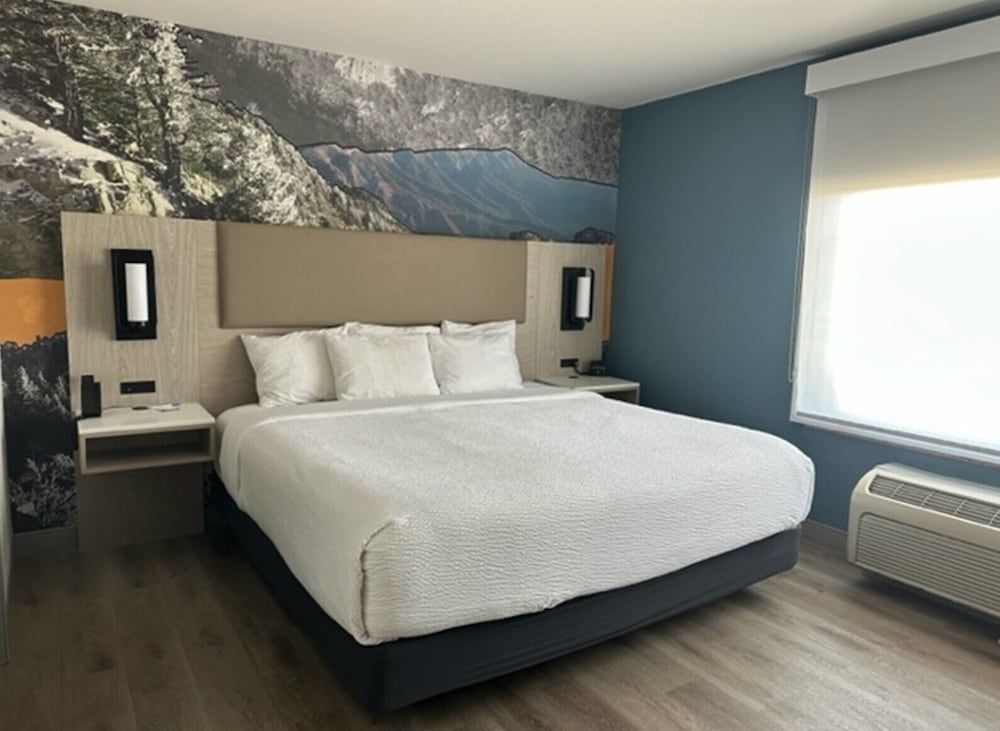 Suite, 1 Bedroom, Non Smoking (1 King Bed)