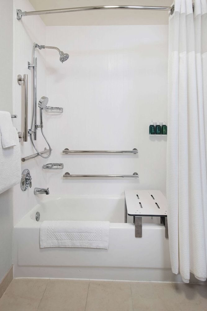 Room, 1 King Bed with Sofa bed, Accessible (Mobility Tub)
