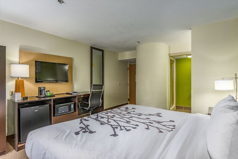 Standard Room, 1 Queen Bed, Accessible, Non Smoking