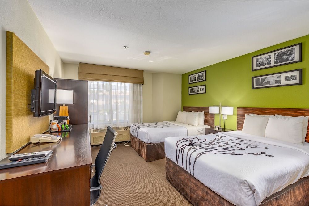 Standard Double Room, 2 Double Beds
