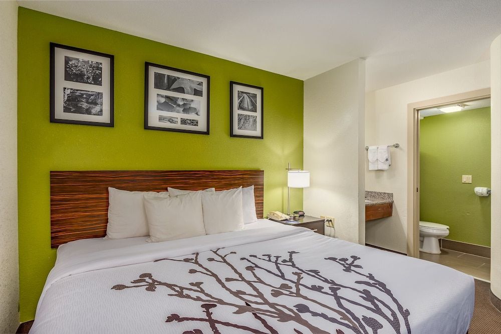 Standard Room, 1 King Bed, Non Smoking