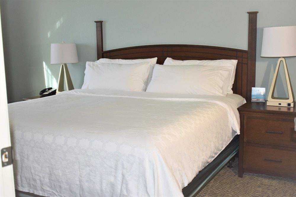 Studio Suite, 1 Queen Bed, Kitchen