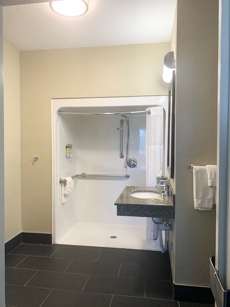Studio Suite, 1 King Bed, Accessible, Kitchen (Roll-In Shower)