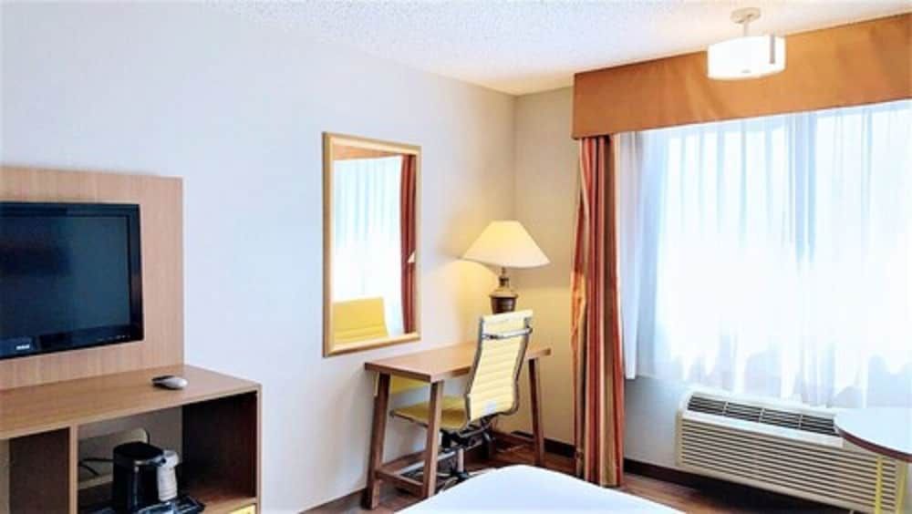 Suite, 1 King Bed, Non Smoking (One-Bedroom)
