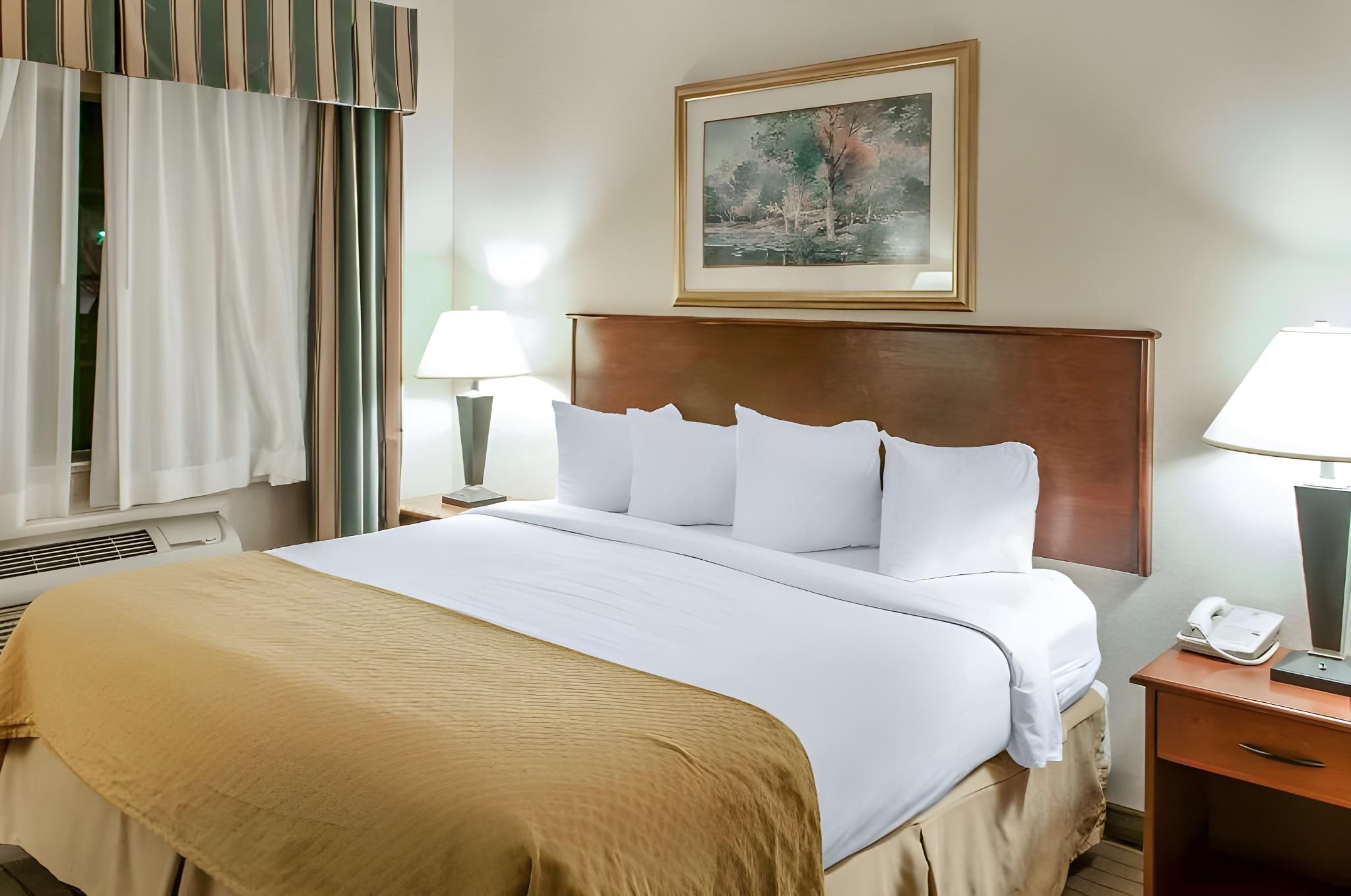 1 King Bed, Suite, Nonsmoking