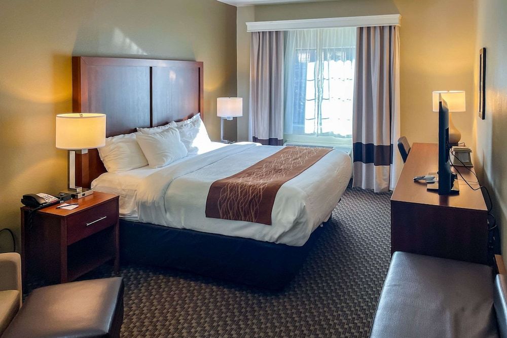 Standard Room, 1 King Bed, Non Smoking