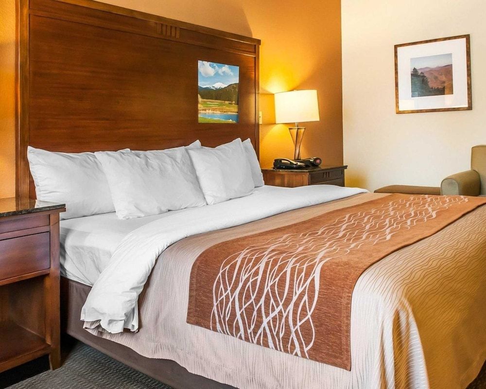 Standard Room, 1 King Bed, Non Smoking