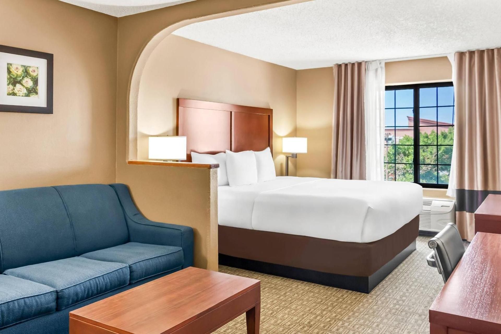 King Suite with Sofa Bed - Non-Smoking