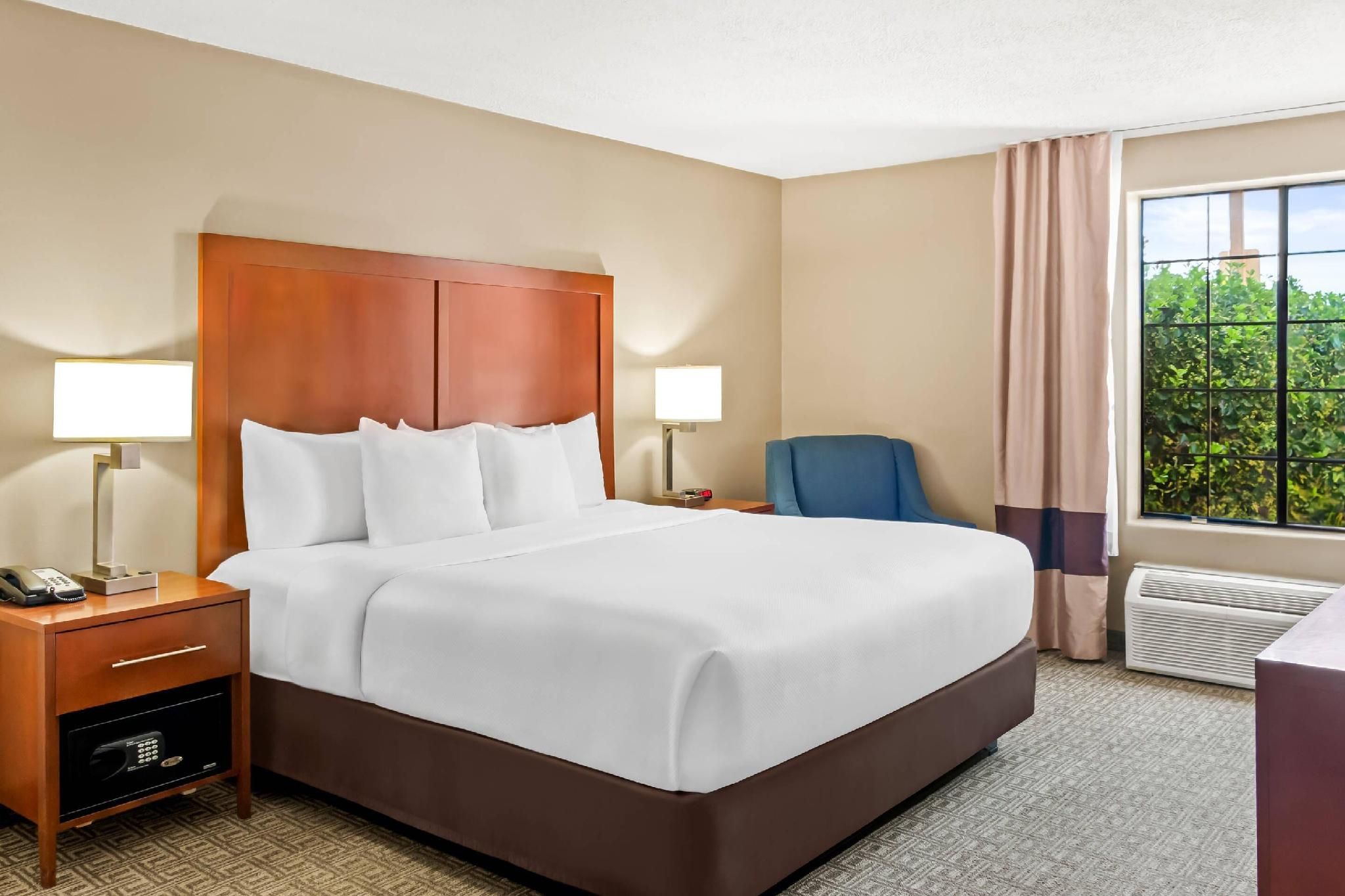 1 King Bed, Nonsmoking, Accessible