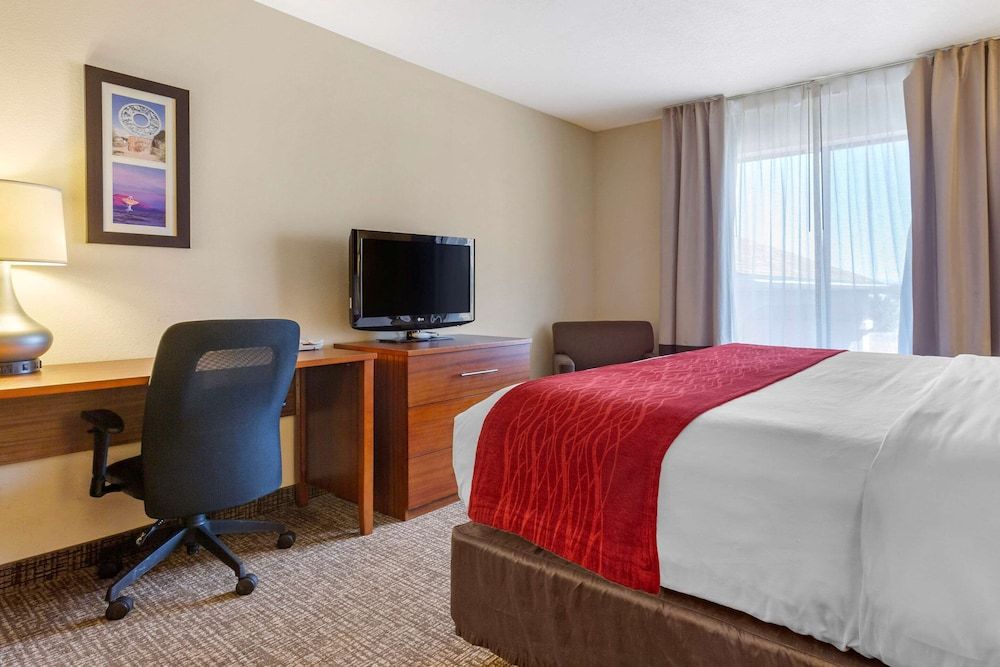 Suite, 1 King Bed, Non Smoking
