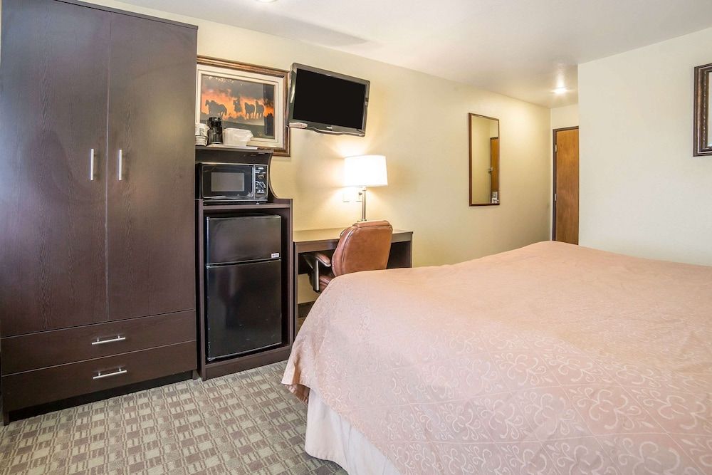 Quality Inn & Suites Elko Room, 1 King Bed, Non Smoking 5