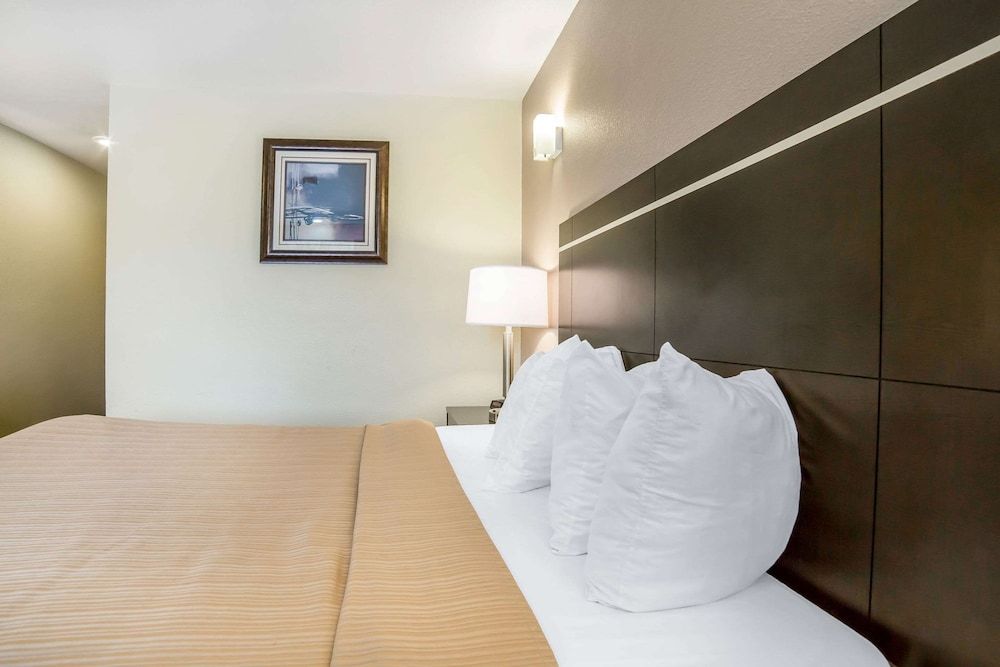 Quality Inn & Suites Elko Standard Room, 1 Queen Bed, Non Smoking 7