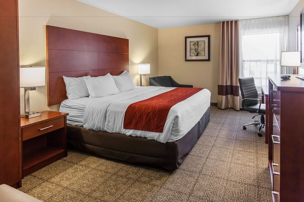 Standard Room, 1 King Bed, Non Smoking (1st Floor No Pets)