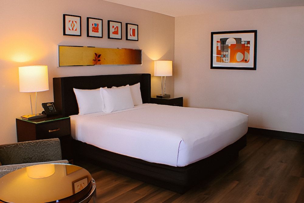 undefined Circus Circus Hotel, Casino & Theme Park 5