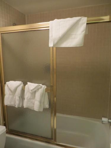 undefined El Cortez Hotel and Casino - 21 and Over 6