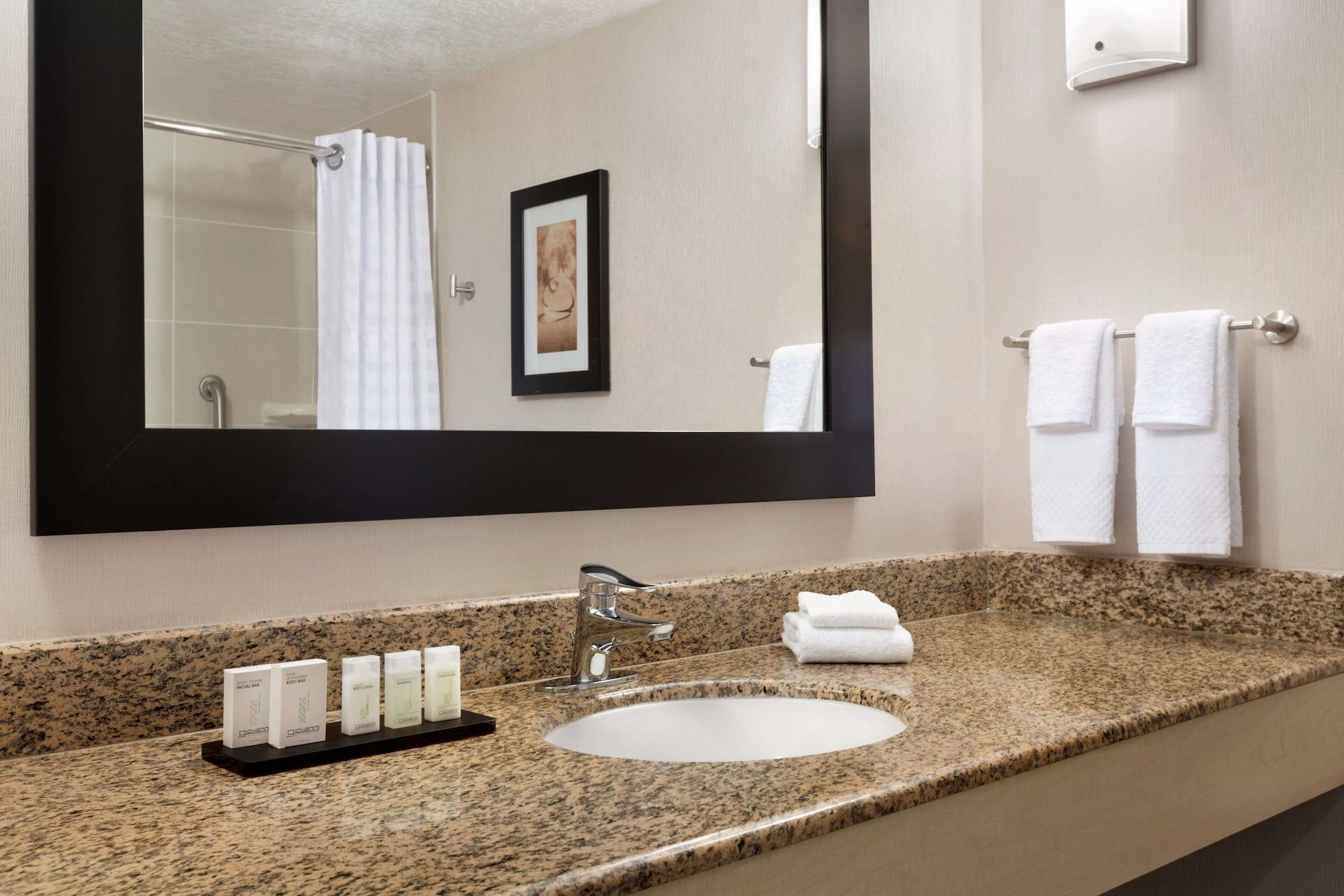 undefined Embassy Suites by Hilton Convention Center Las Vegas 8