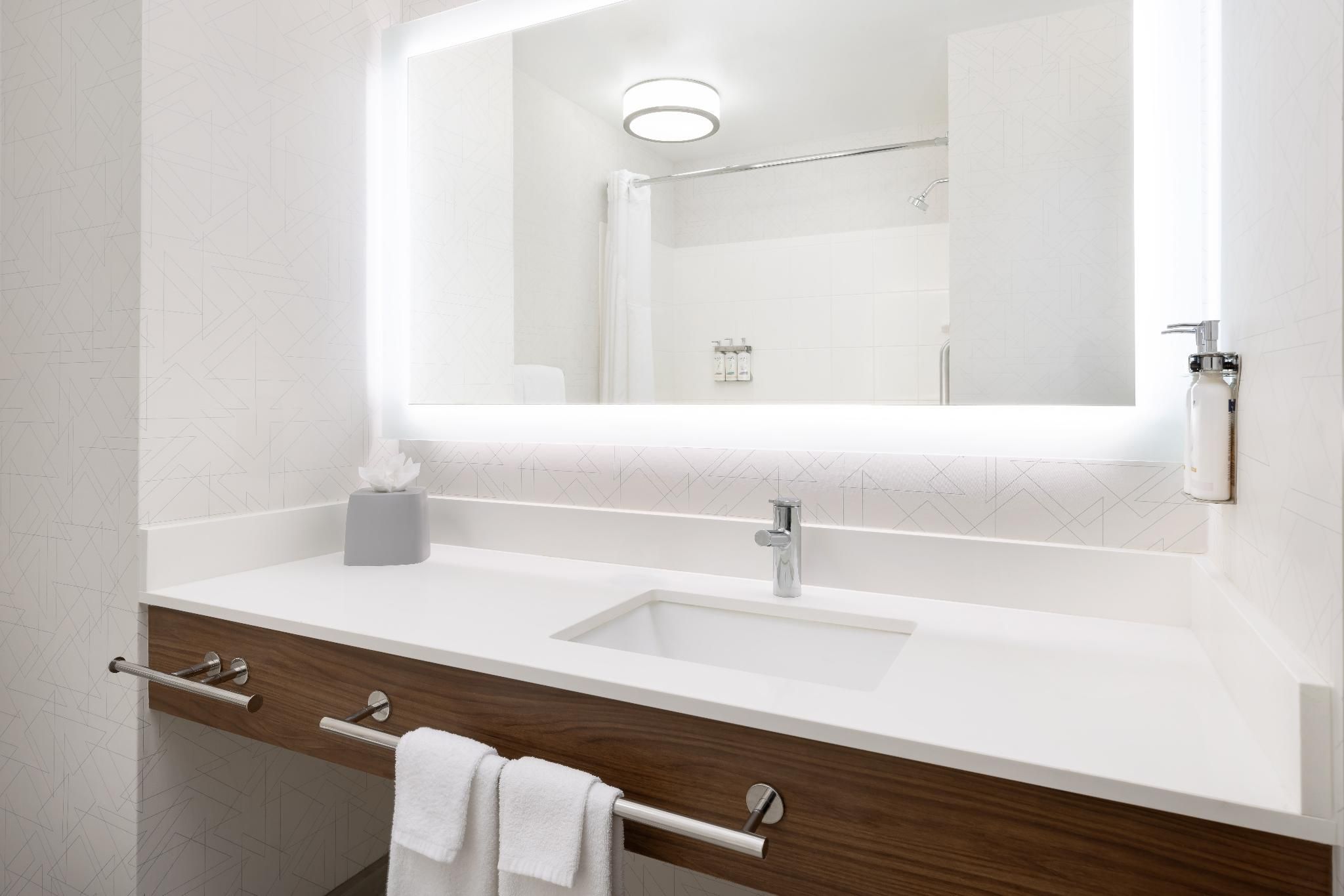 Holiday Inn Express Las Vegas - Stadium Area by IHG 2 Queen Standard Mobility Accessible Transfer Shower 7
