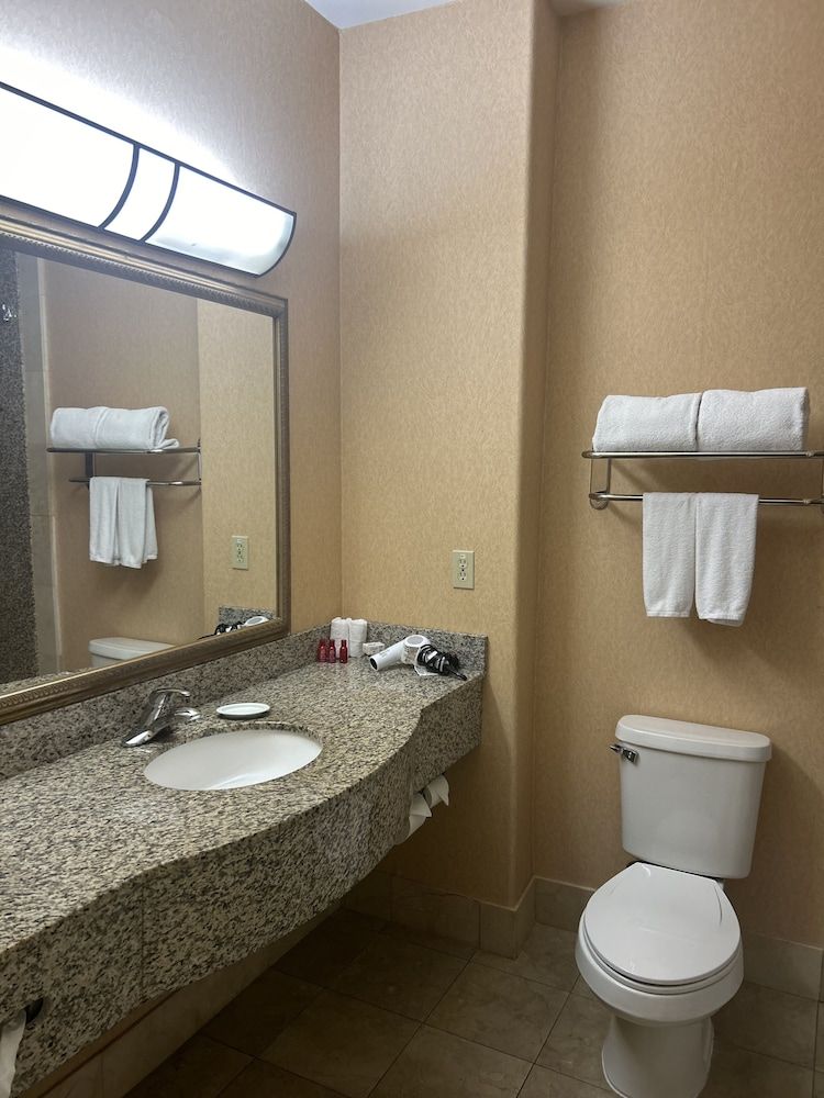 Standard Room, 2 Queen Beds