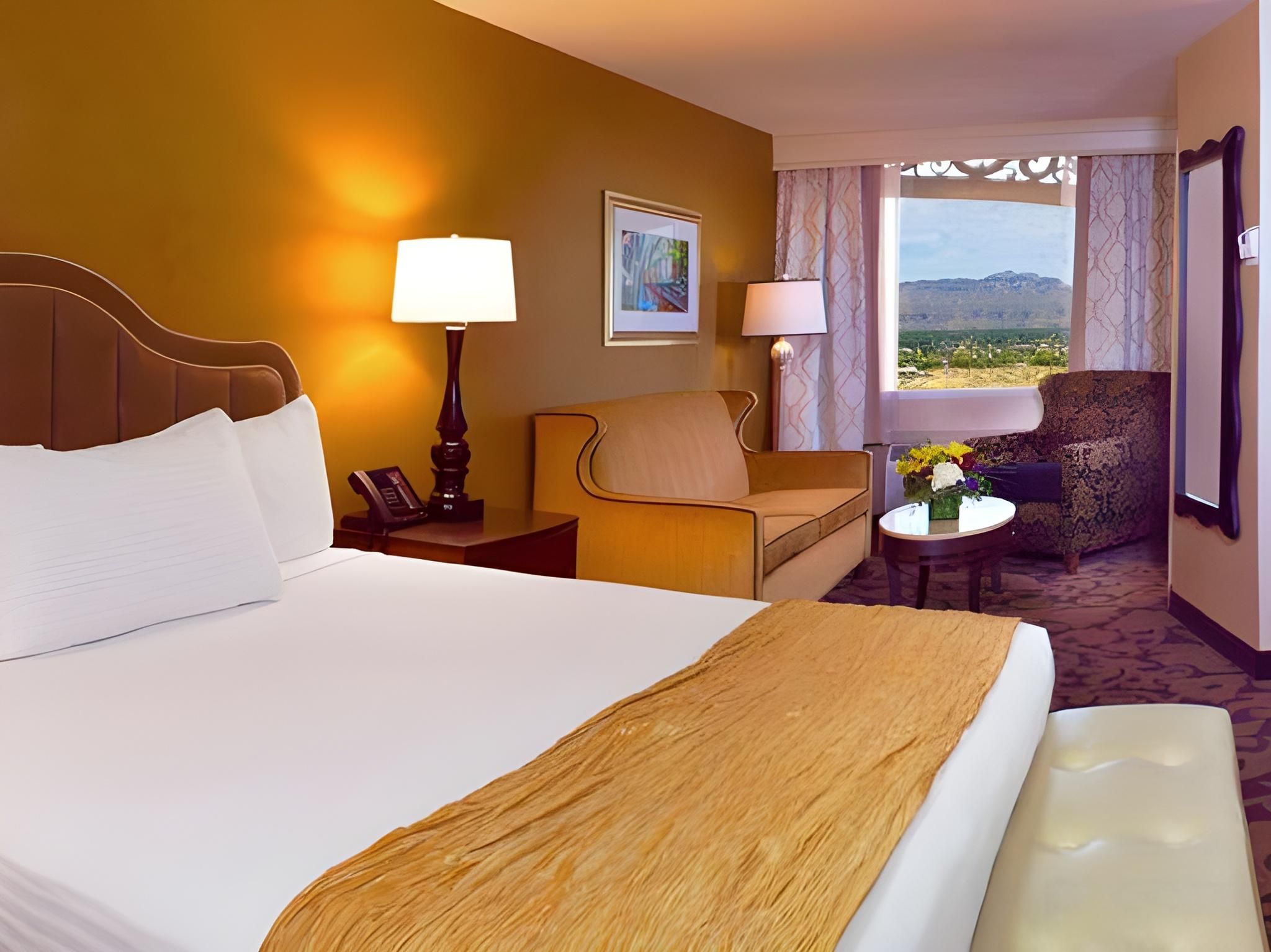 Mountain View Room with King Bed