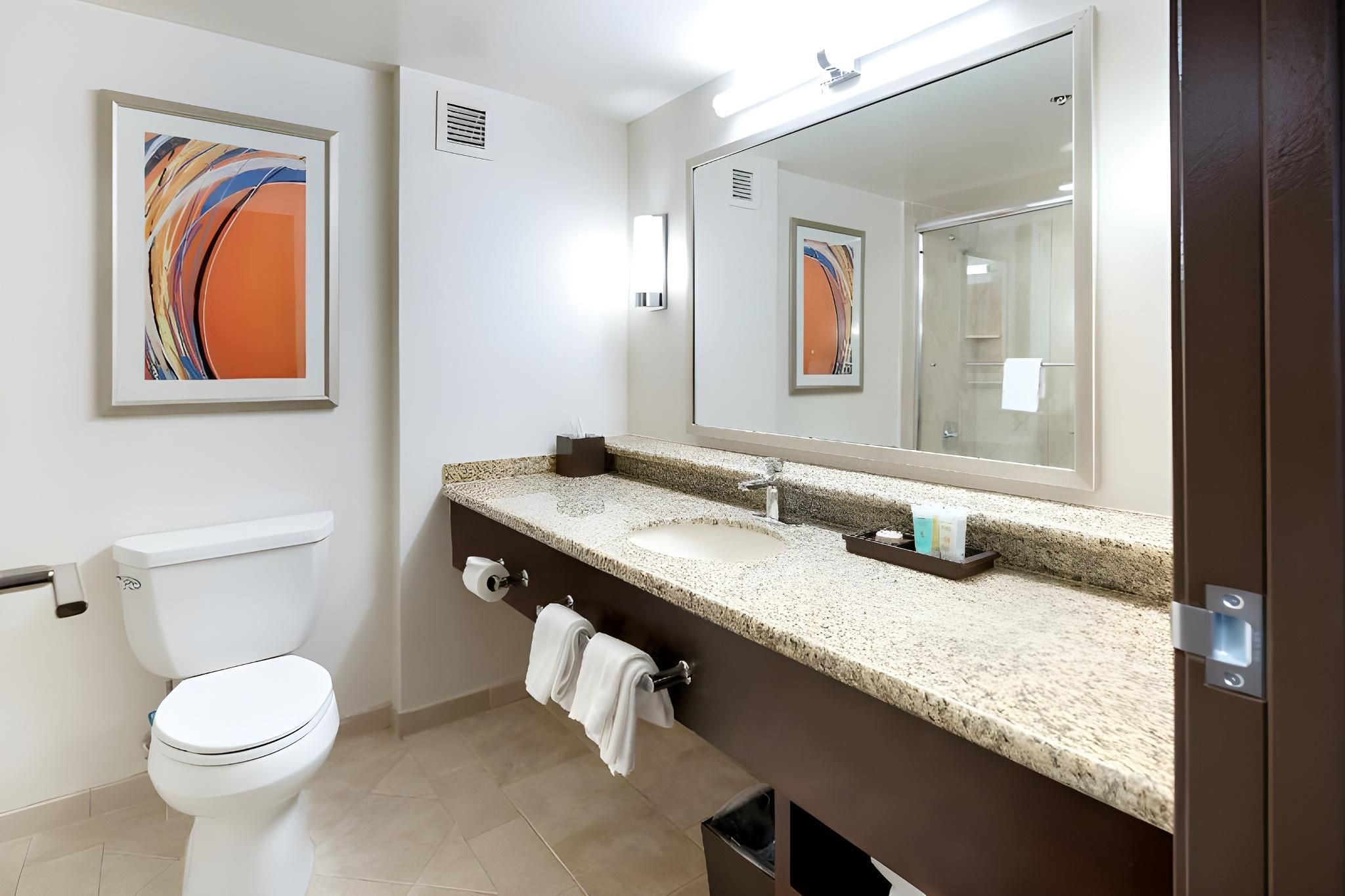 Premier Room - 1 King Bed