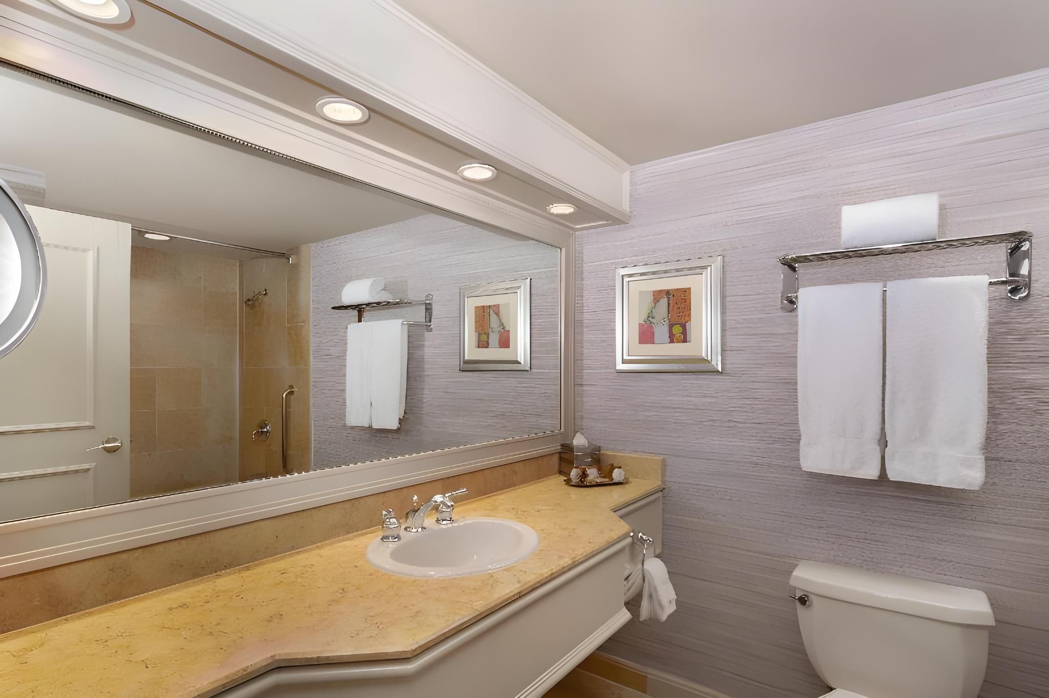 undefined Treasure Island - TI Las Vegas Hotel & Casino 6