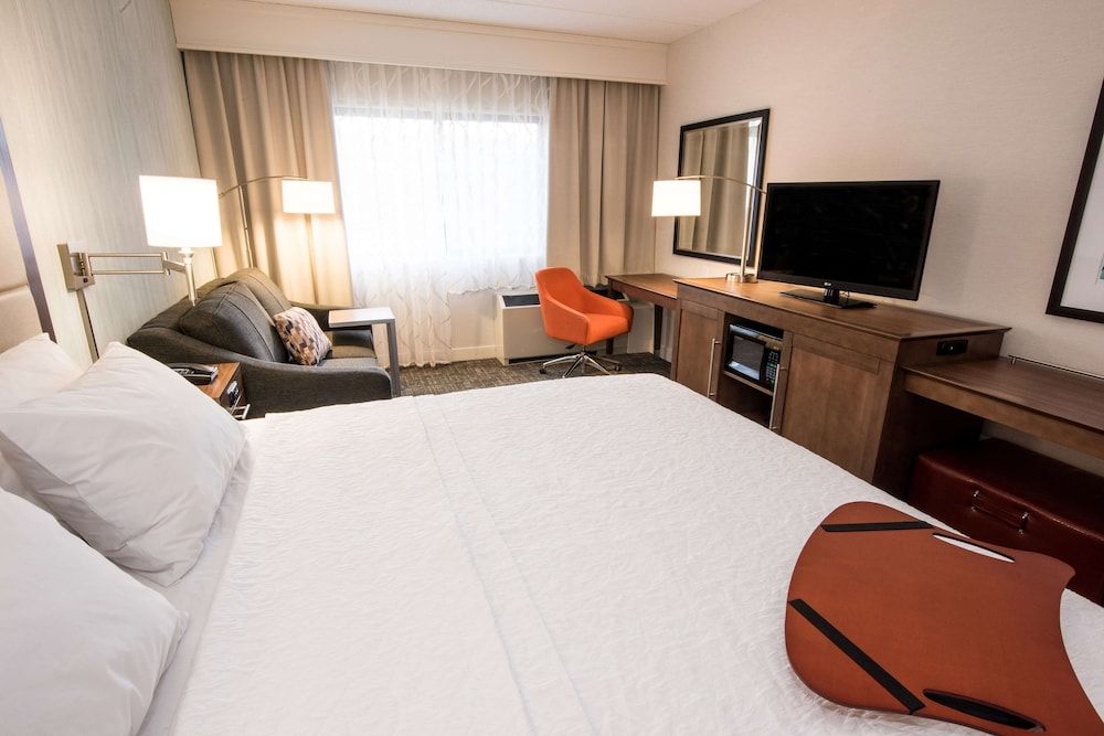 Room, 1 King Bed with Sofa bed