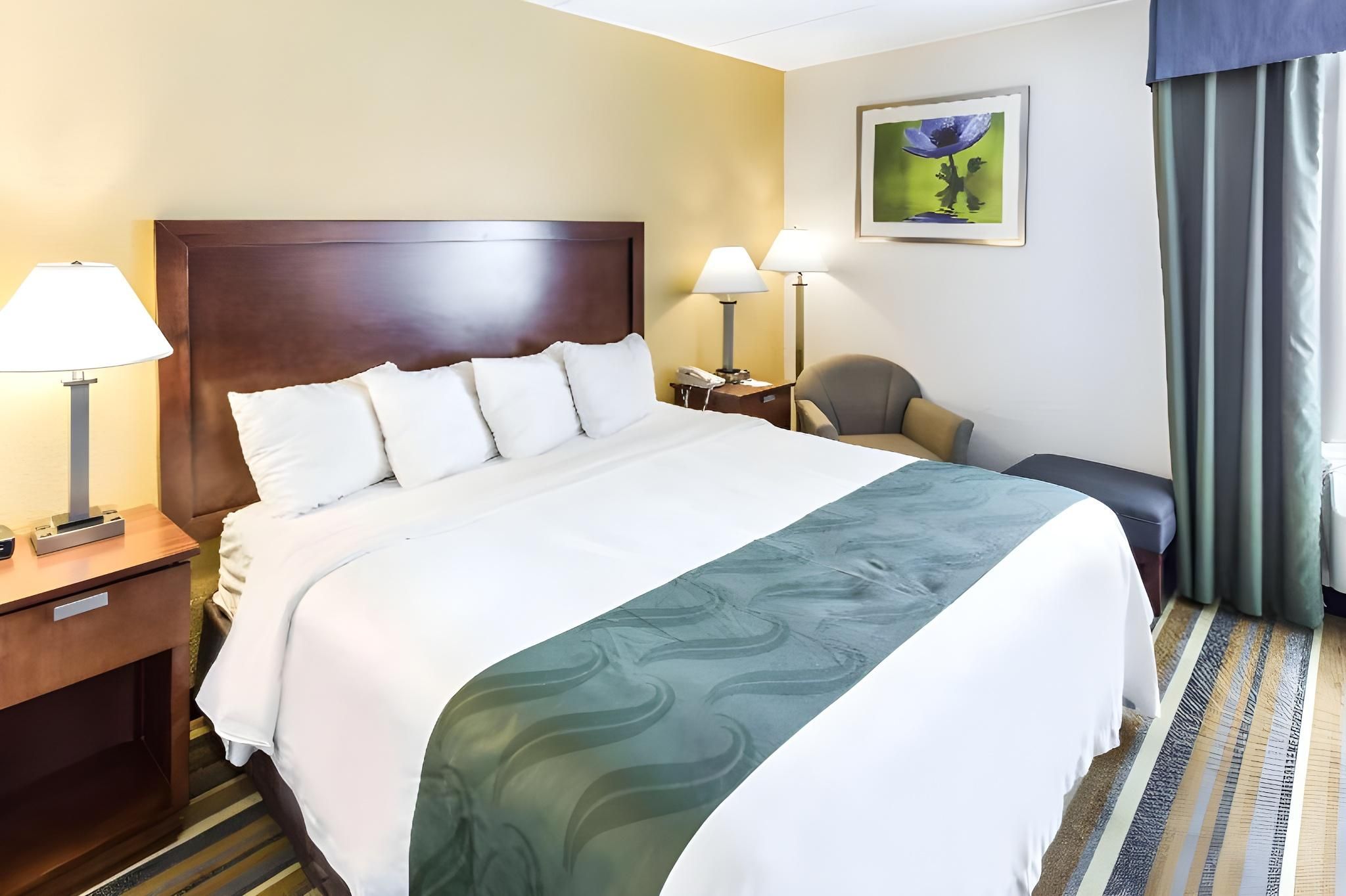 1 King Bed Nonsmoking