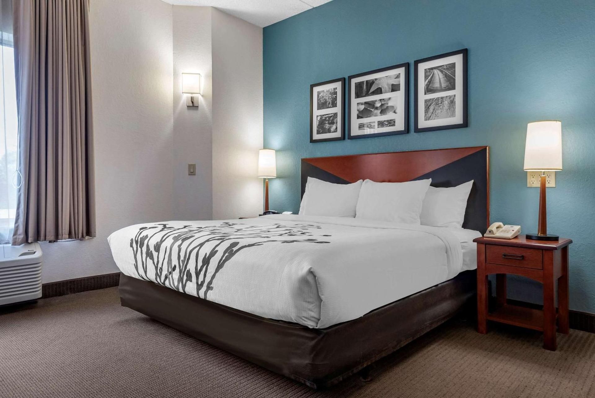 1 King Bed, Nonsmoking, Accessible