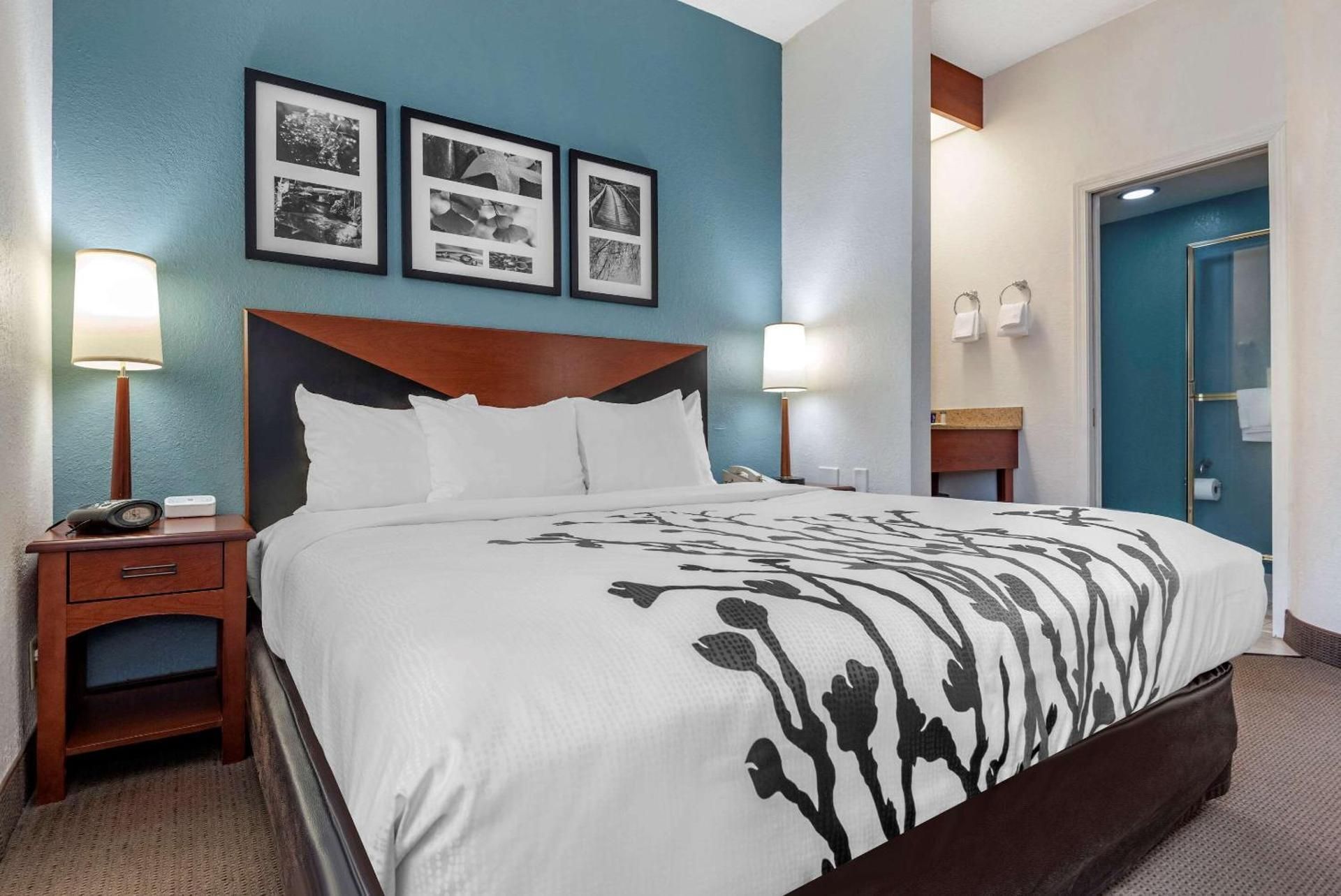 1 King Bed, Nonsmoking