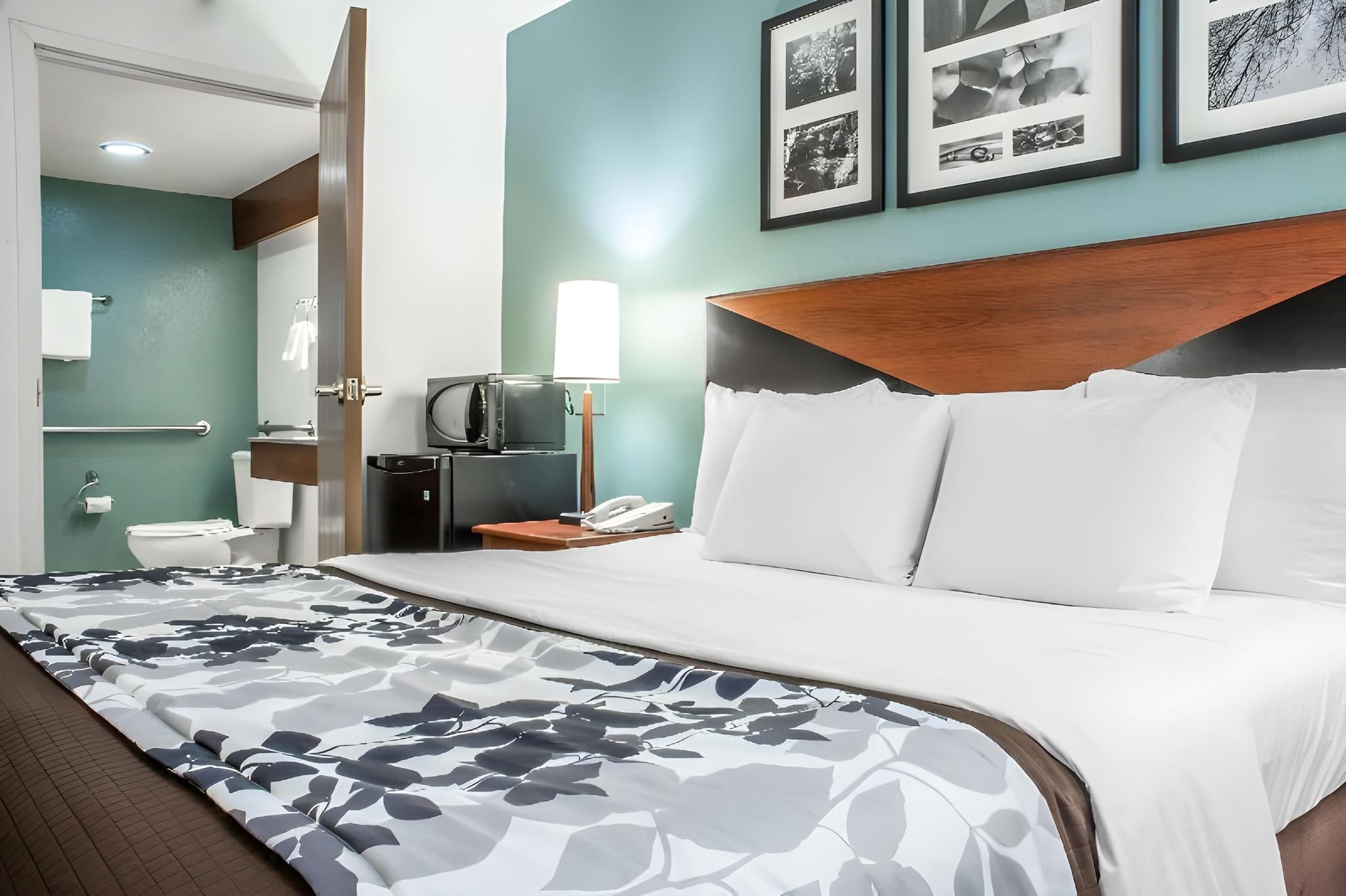 1 King Bed, Nonsmoking, Accessible
