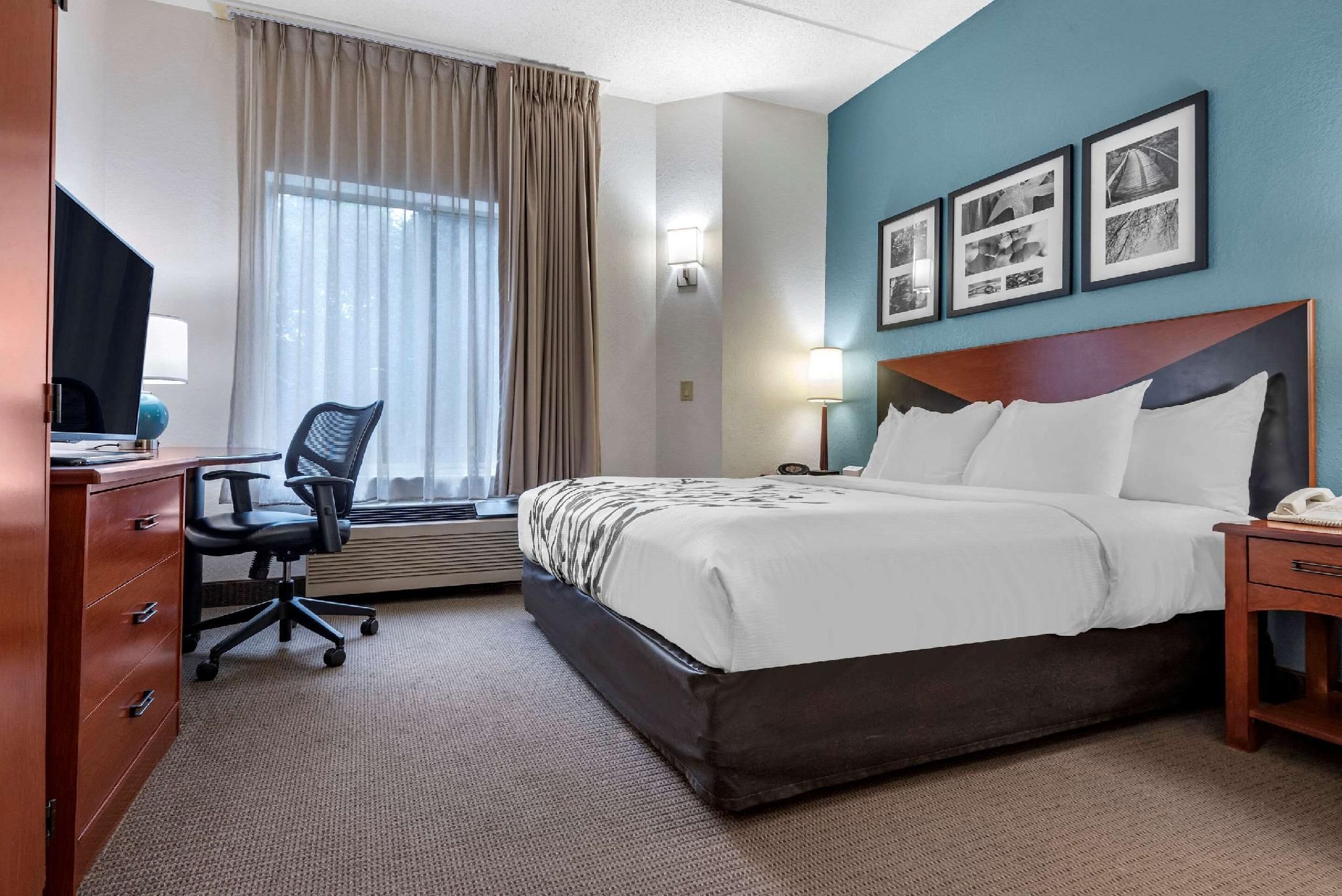 1 King Bed, Nonsmoking
