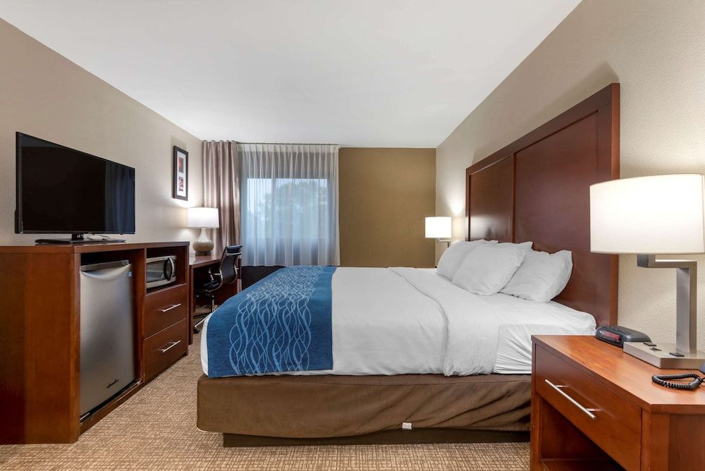 Room, 1 King Bed, Accessible, Non Smoking