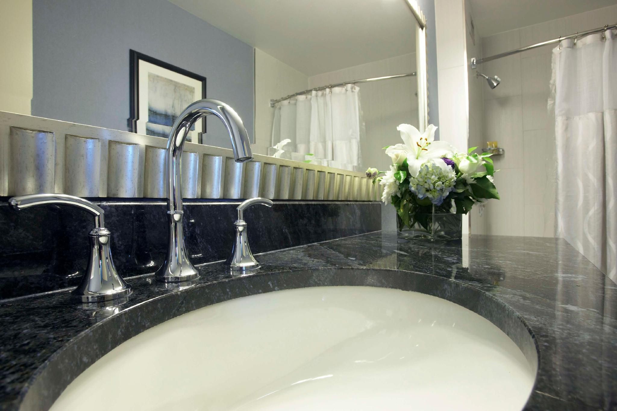 undefined Hyatt Regency Buffalo / Hotel and Conference Center 7