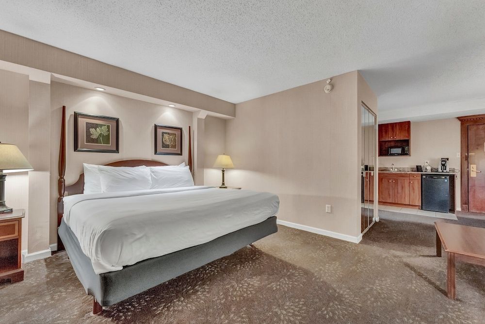 Suite, 1 Bedroom