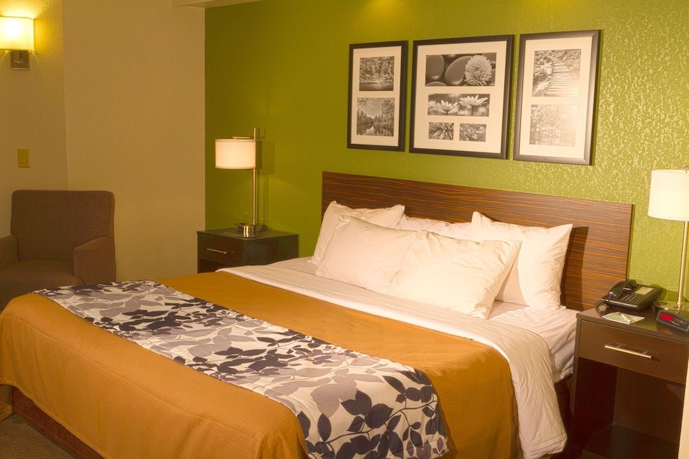 Standard Room, 1 King Bed, Non Smoking