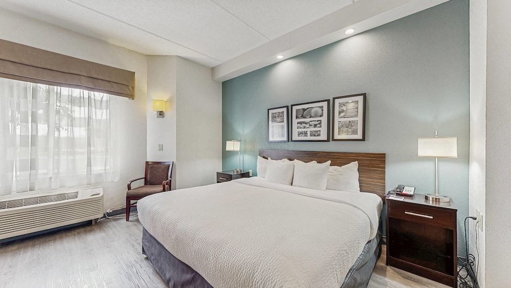 Room, 1 Queen Bed, Non Smoking